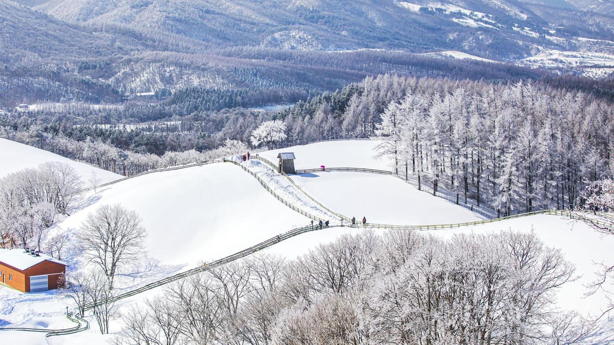 Holiday Inn Resort Alpensia Pyeongchang By Ihg Exterior foto